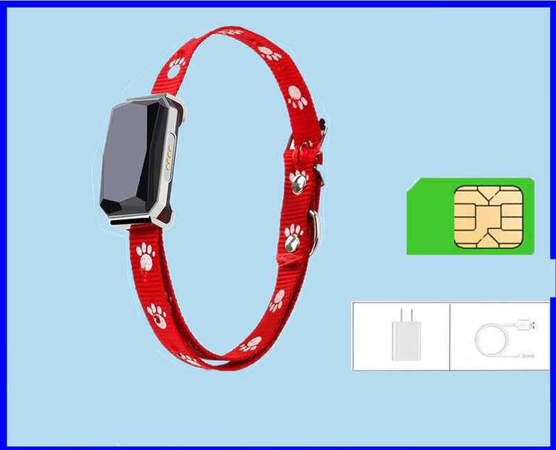 SafeTrack GPS Collar – Never Lose Your Pet Again