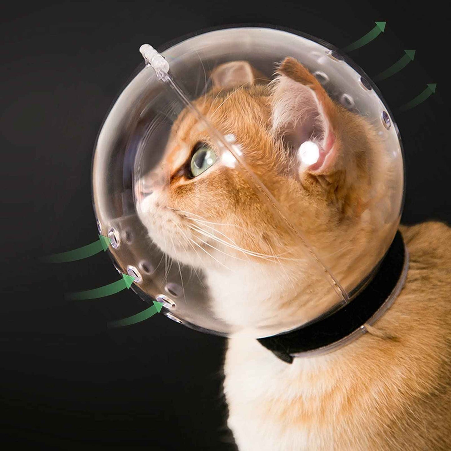 Cat Muzzle Cat Transparent Muzzle M Size Breathable Cat Hood Adjustable Kitten Astronaut Helmet Prevent from Cats Biting Chewing Grooming Cat Ball Mask for Aggressive Cat