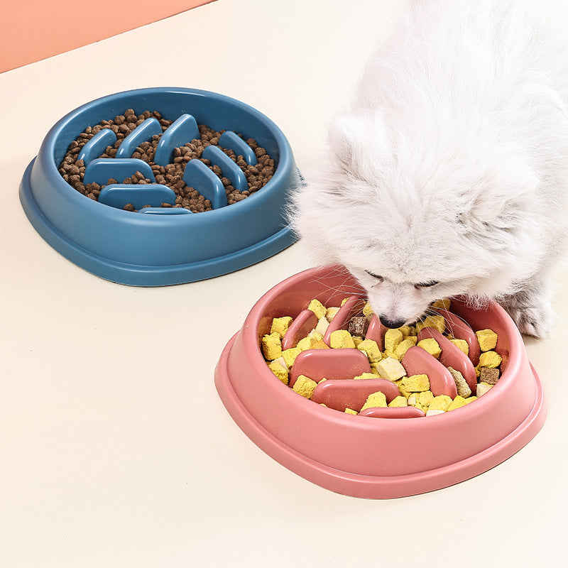 SlowFeed Pet Bowl – Healthier, Slower Mealtimes for Dogs & Cats