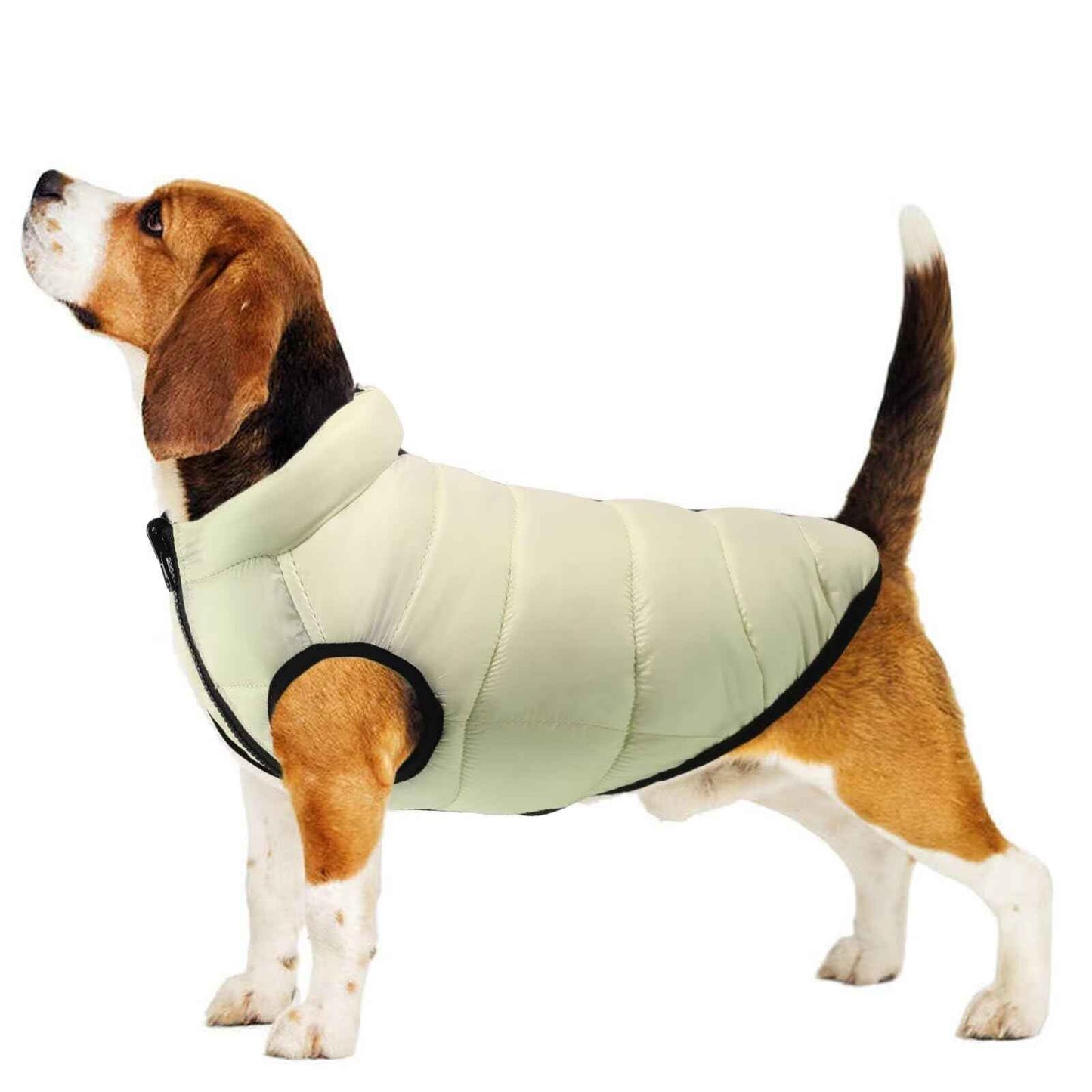 MIGOHI Reversible Dog Jacket for Winter Windproof Turtleneck Dog Coat for Small Medium Dogs Warm Zippered Dog Snowsuit Jacket for Cold Weather Waterproof Dog Puffer Jacket with Leash Hole Green XL