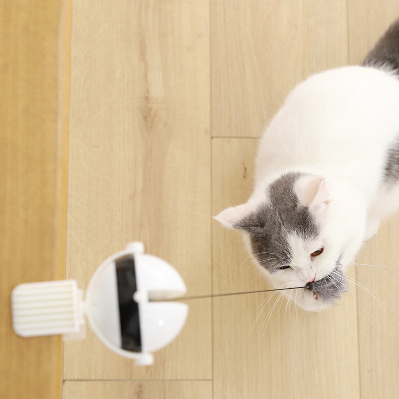 SmartBounce Cat Ball – Interactive Fun Toy for Cats