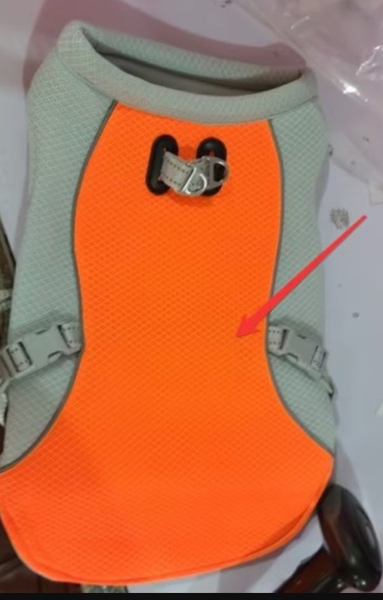 CoolPaws Dog Vest – Stay Cool on Hot Days