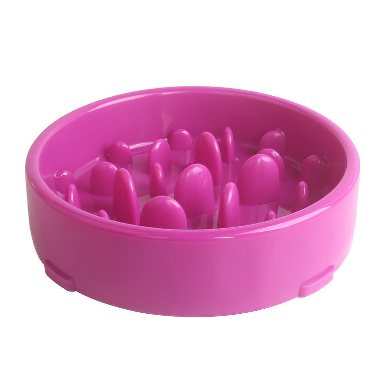 Slow Feed Pet Bowl with Anti-Choke Design and Mat