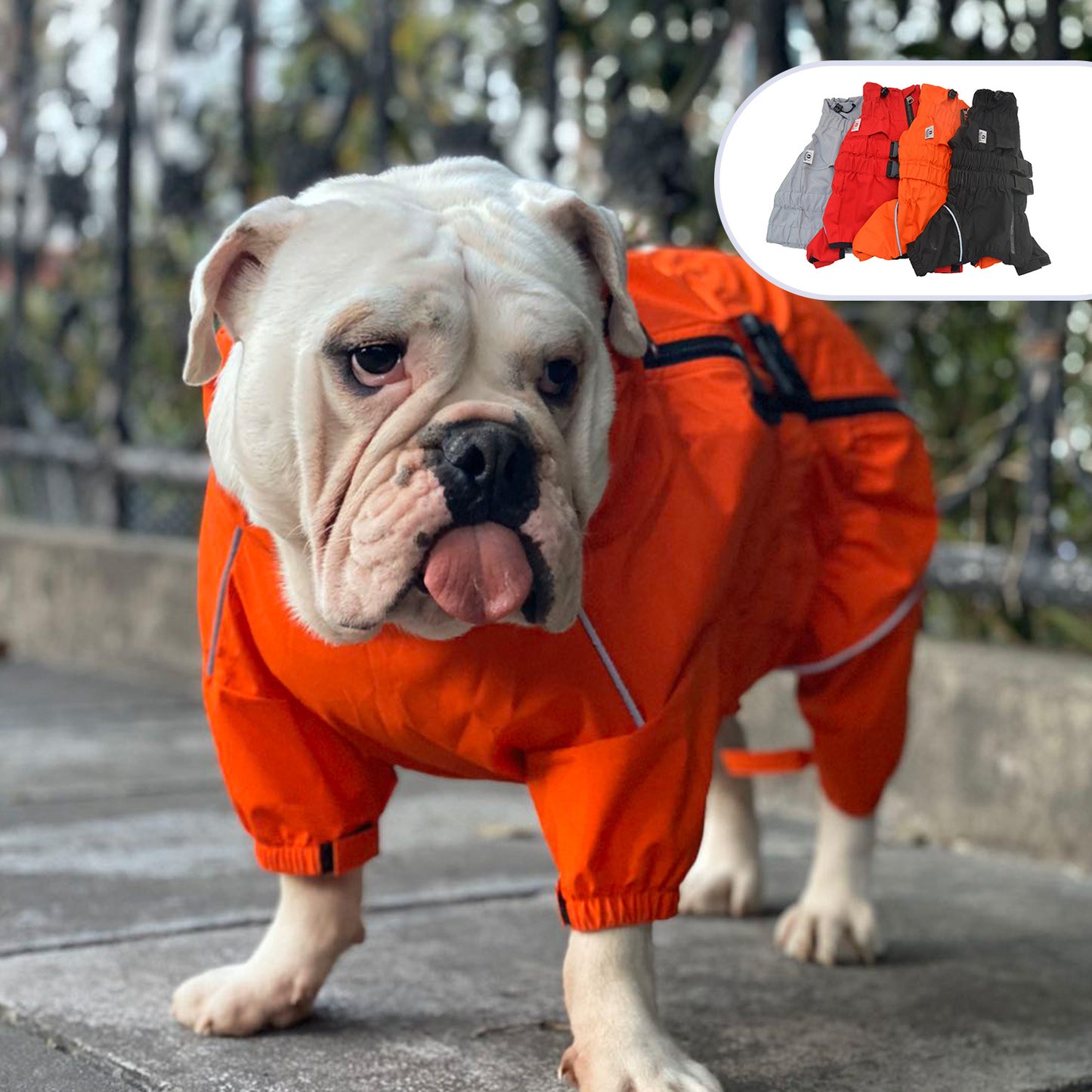 RainShield Dog Coat – Stay Dry on Every Walk