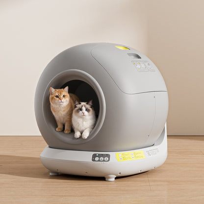 AutoClean Litter Box – Mess-Free, Stress-Free Cat Care