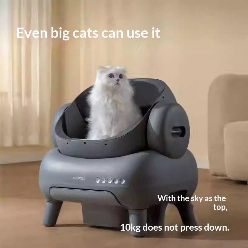 AutoFresh Open Litter Box – Clean Home, Happy Cat