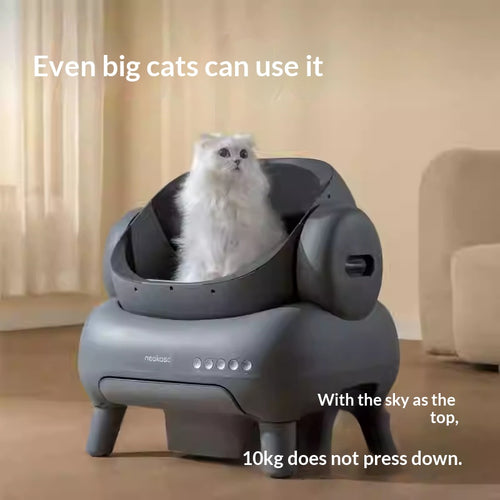 AutoFresh Open Litter Box – Clean Home, Happy Cat