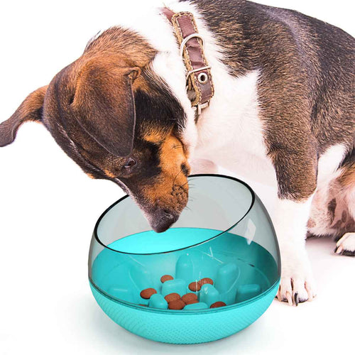 Slow Feed Dog Bowl with Anti-Choke Design for Pets