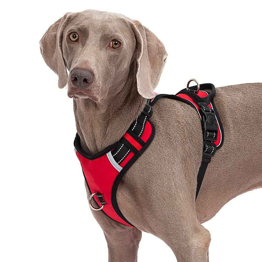 Abuandi Tactical Dog Harness Reflective Adjustable Dog Vest with Handle Easy Control Service Dog Harness Training Walking No Pull Dog Harness for Small Medium Large Dogs Name Plate