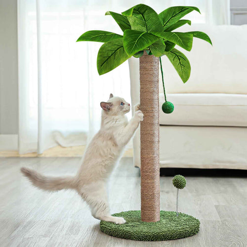 Dohump Cat Scratching Post 26" Kitten Scratching Post with Premium Sisal Rope Cute Cat Tree with Dangling and Spring Ball Toys for Indoor Small Cats