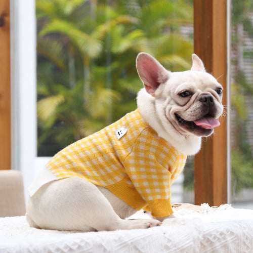 CozyPet Warm Clothing – Keep Your Pet Comfortable & Happy