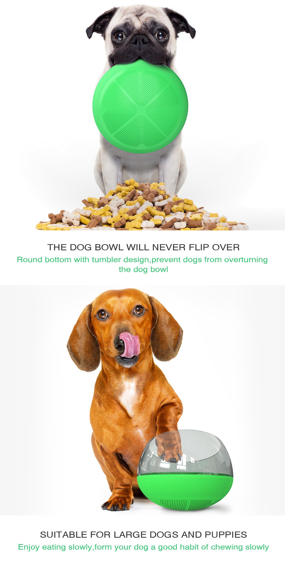 Slow Feed Dog Bowl with Anti-Choke Design for Pets