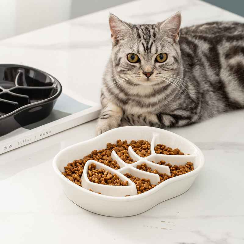 Ceramic Slow Feed Bowl for Cats and Dogs, Anti-Slip