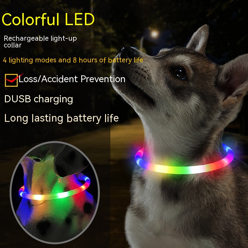 GlowSafe LED Dog Collar – Stylish Night Safety for Pets