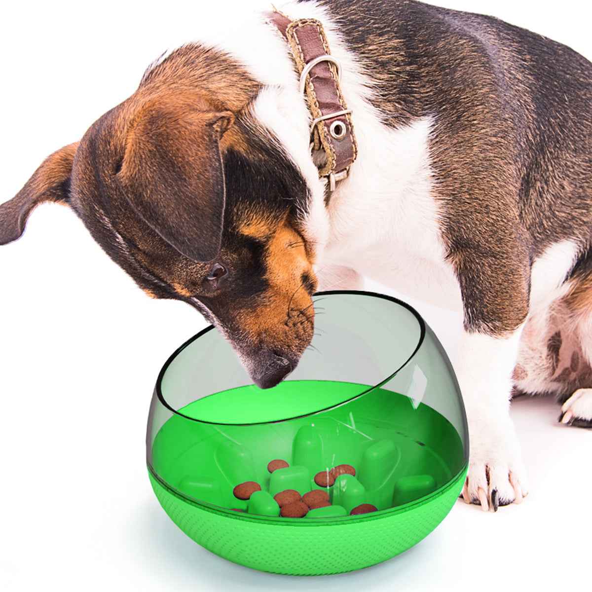 Slow Feed Dog Bowl with Anti-Choke Design for Pets