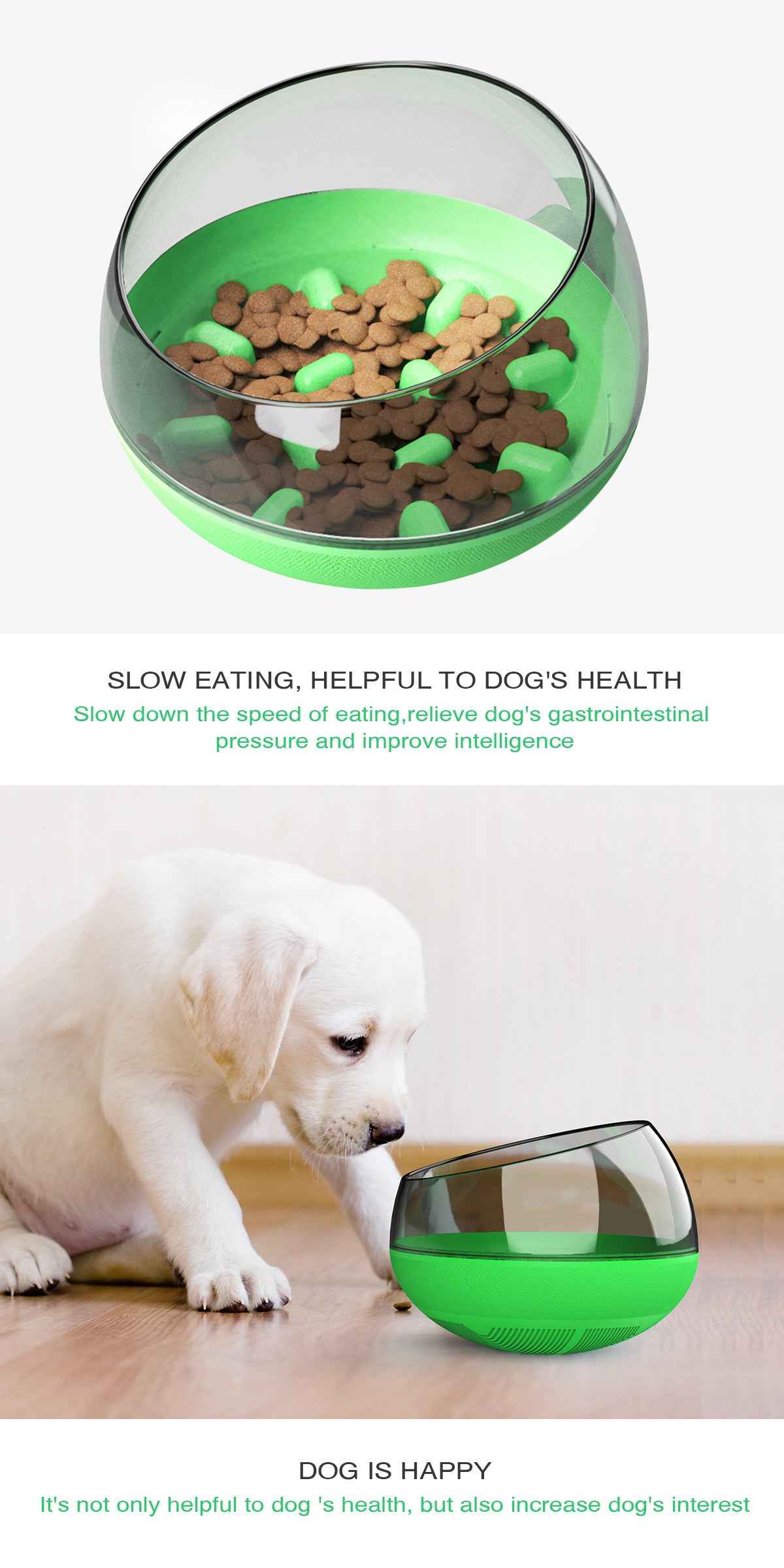 Slow Feed Dog Bowl with Anti-Choke Design for Pets