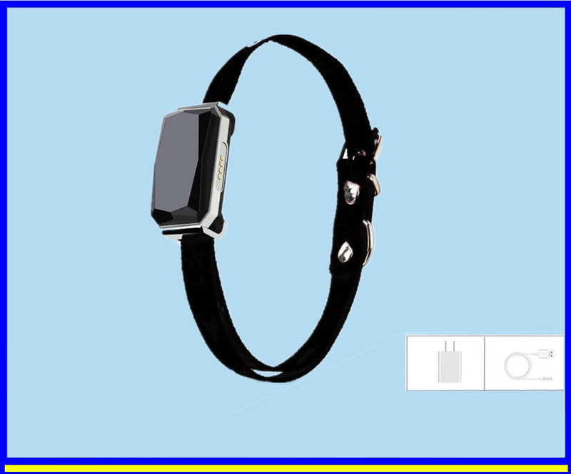 SafeTrack GPS Collar – Never Lose Your Pet Again