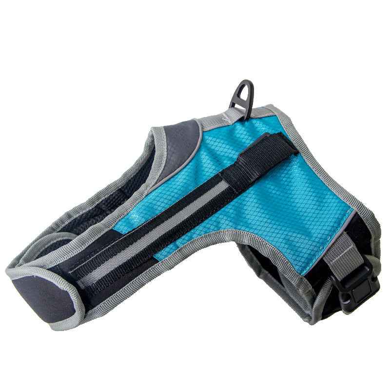 Pet Dog Leash for Walking and Training