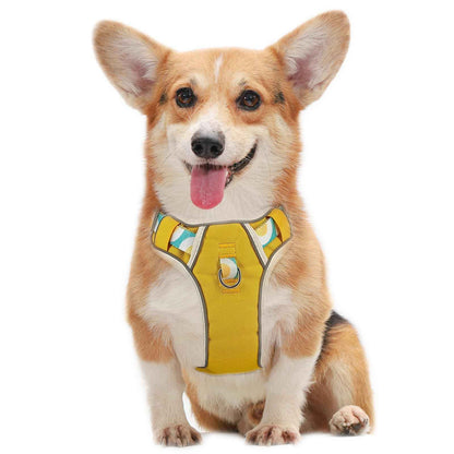 pangdi No Pull Dog Harness for Medium Sized Dog Easy Walk with Handle Reflective Adjustable Puppy Harness Soft Padded Arnes Perro No Choke Pet Harness for Walking and Training Yellow S