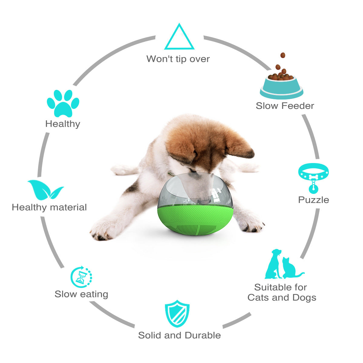 Slow Feed Dog Bowl with Anti-Choke Design for Pets