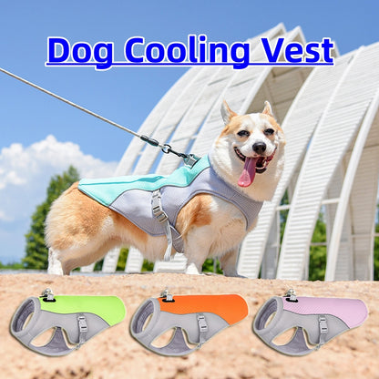 CoolPaws Dog Vest – Stay Cool on Hot Days