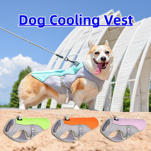 CoolPaws Dog Vest – Stay Cool on Hot Days