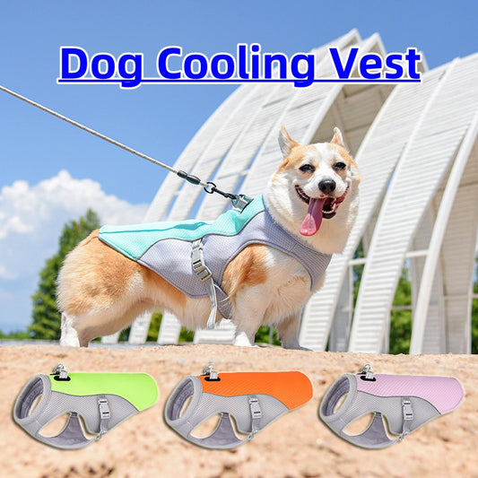 CoolPaws Dog Vest – Stay Cool on Hot Days