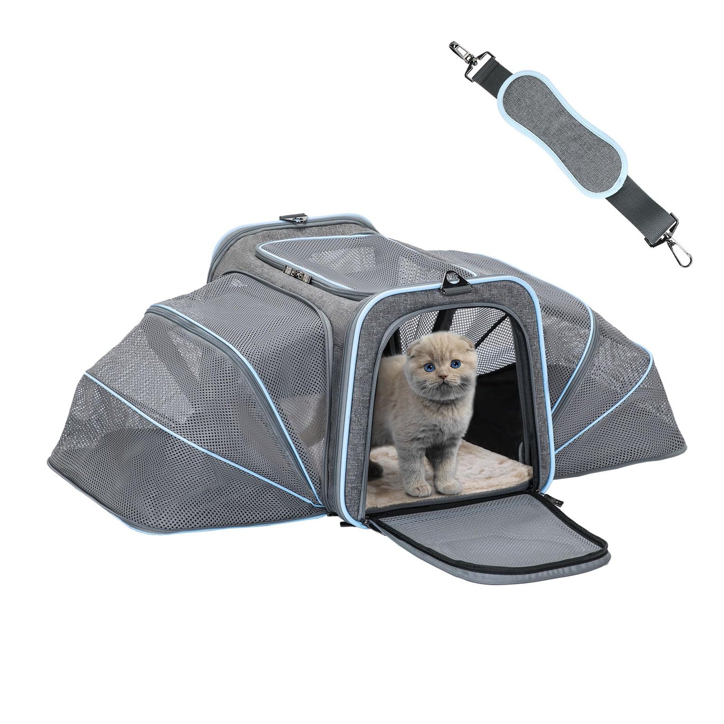Petsfit Expandable Cat Carriers Airline Approved 16"x10"x9" Small Dog Carrier Soft-Sided Portable Washable Pet Travel Carrier with Two Extension for KittenRabbit Puppy Small Animal