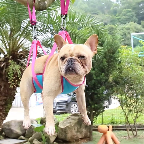 EasyGroom Hammock – Stress-Free Pet Grooming at Home