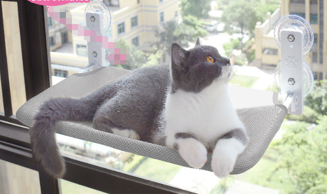 SunnySpot Cat Window Hammock – Cozy Window Bed for Cats