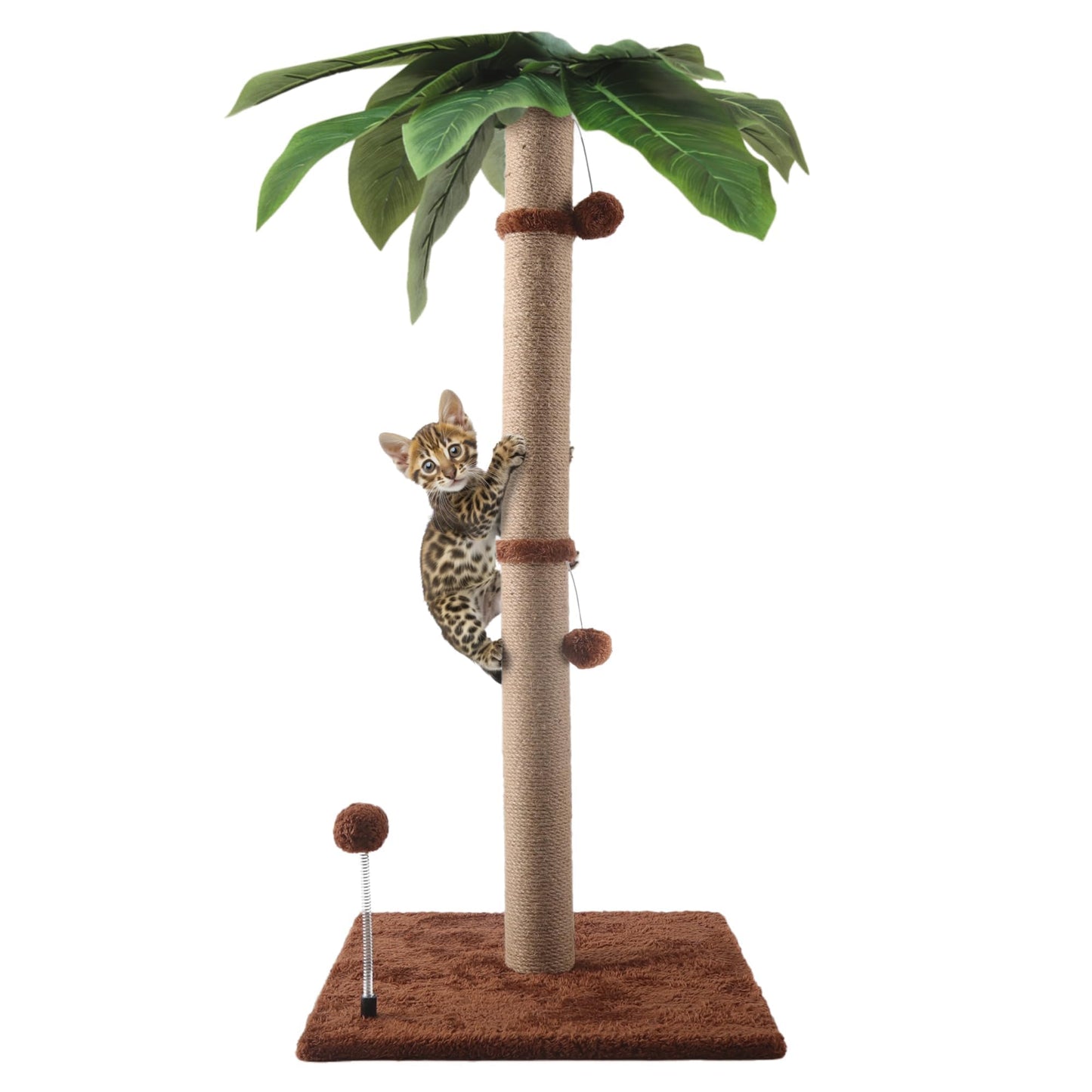 34 Tall Palm Cat Tree Cat Scratching Post Kitten Cat Scratch Cute Scratcher for Indoor Cats with Hanging Dangling Toy Balls for Large Cats and Kittens Brown