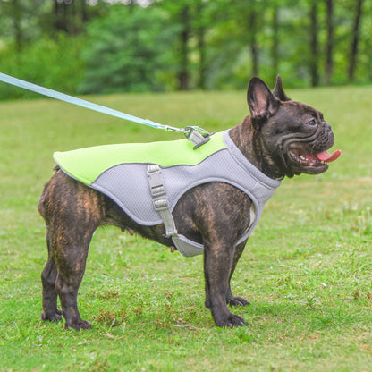 CoolPaws Dog Vest – Stay Cool on Hot Days
