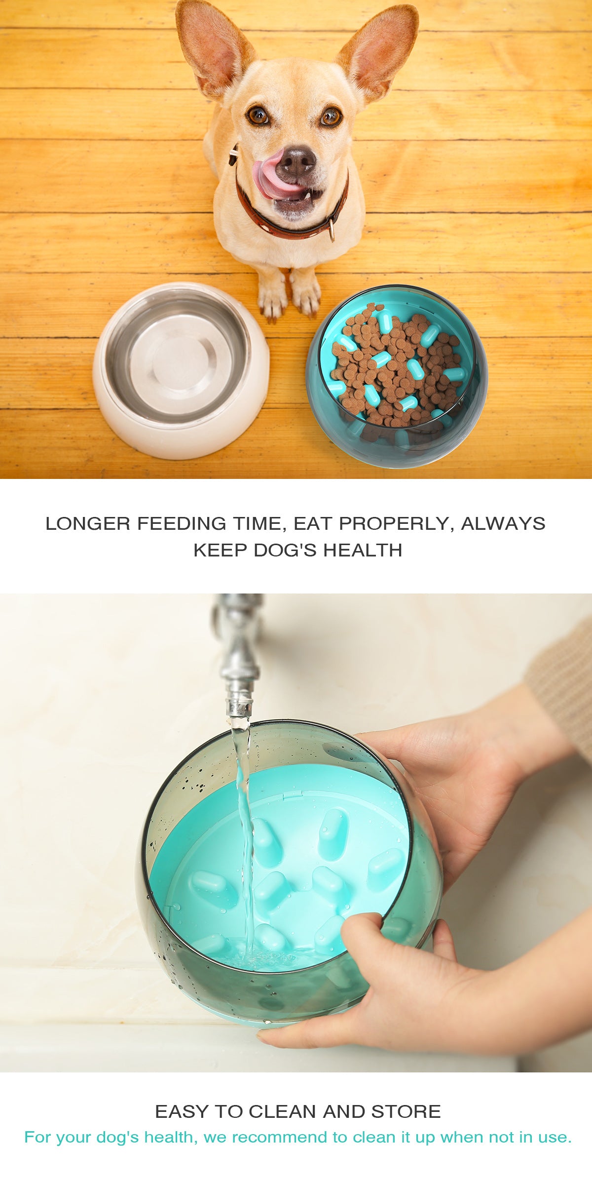 Slow Feed Dog Bowl with Anti-Choke Design for Pets