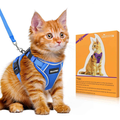 Halypet Cat Harness and Leash Set [MAX Safety 4th-Gen Upgrade] Escape Proof Adjustable Cat Leash Comfortable Soft Vest Easy to Wear Kitten Harness with Reflective Strip for Cats Walking XS Blue
